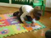 DSC00435.jpg