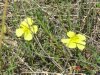 DSC03377.jpg