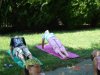 DSC03474.jpg